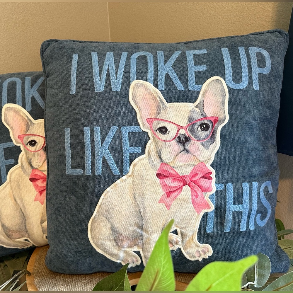 🔥Price Drop🔥 NWT Frenchie Pillows (20x20)